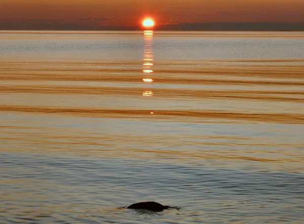 Urlaub Meer Europa Heißer Sommer Sonnenuntergang — Stockfoto
