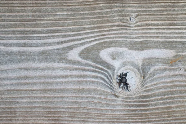 Holz Hintergrund Natürliche Bemalte Platte Aus Holz — Stockfoto