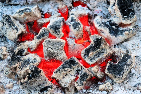 たき火が燃えている バーベキューのための熱い石炭 — ストック写真