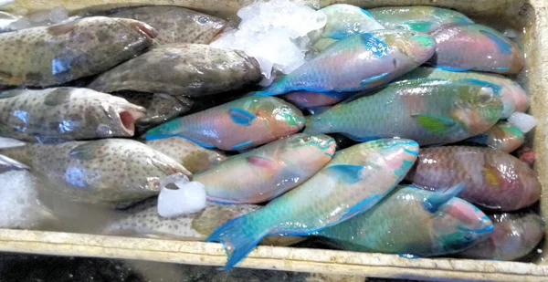 Bali Deki Balık Pazarında Karides Balık Deniz Ürünleri — Stok fotoğraf