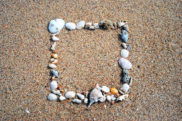 Frame from various shells on sand — Stock Photo, Image