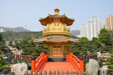 pavilion mutlak mükemmelliğin, hong kong