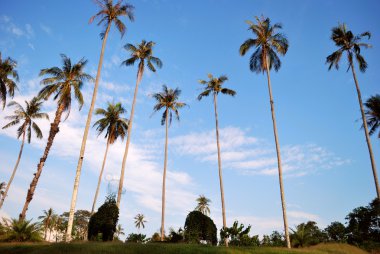 koh mak, güzel Deniz Manzaralı
