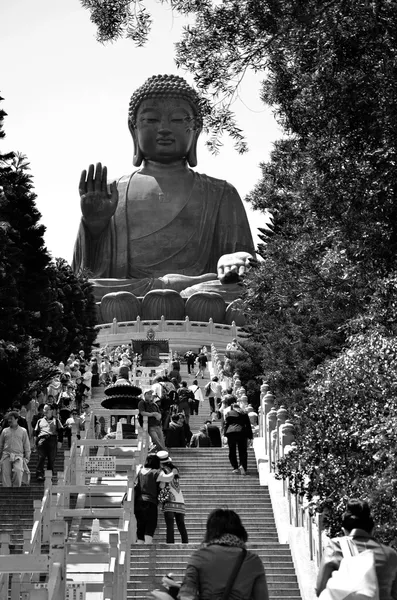 Po で巨大な仏像林修道院、香港 — ストック写真