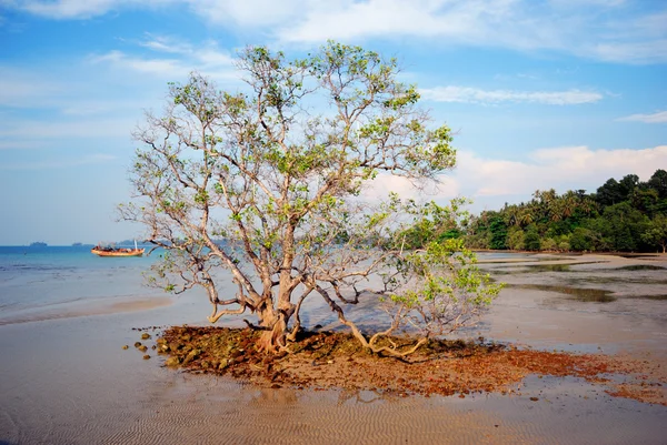 美丽的海景在 koh mak — 图库照片