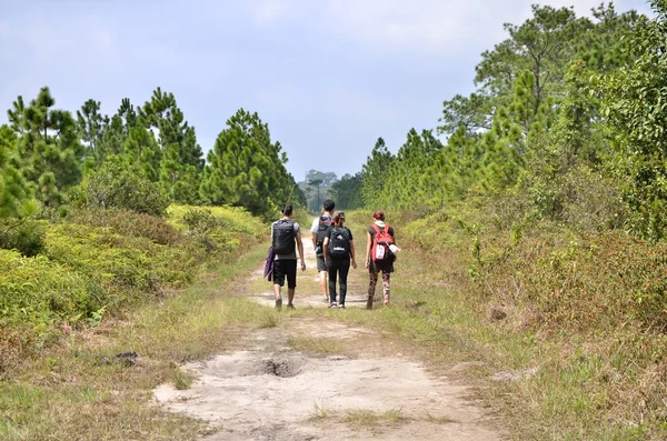 登山家 kradueng プーです, タイ — ストック写真