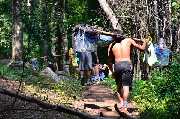 Porter on Phu Kradueng trail — Stock Photo, Image