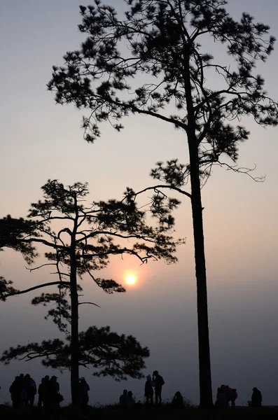 Alba a Phu Kradueng, Loei Immagine Stock