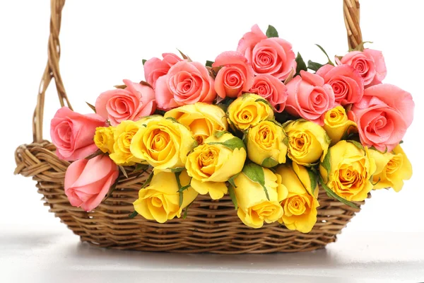 Beautiful rose in wooden basket — Stock Photo, Image