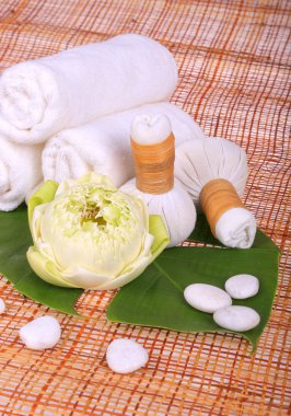 spa masaj Tay bitkisel havlu ile ayarlama sıkıştırmak pullar ve