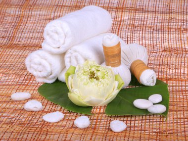 spa masaj Tay bitkisel havlu ile ayarlama sıkıştırmak pullar ve