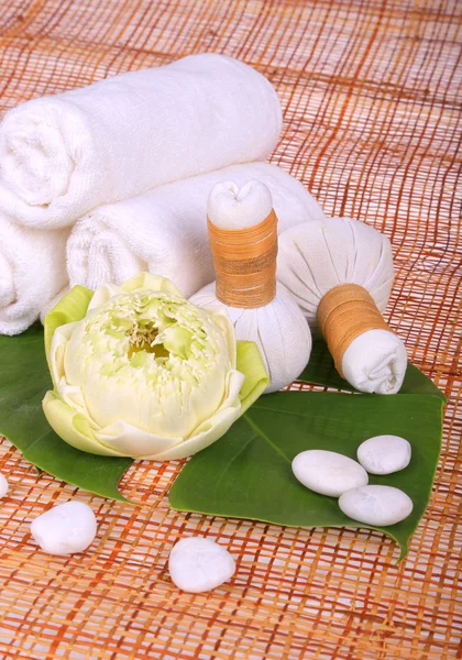 spa masaj Tay bitkisel havlu ile ayarlama sıkıştırmak pullar ve