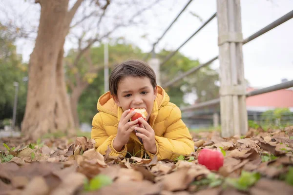 Egy Aranyos Fiú Télikabátban Sárga Színű Fekszik Őszi Leveleken Almát — Stock Fotó
