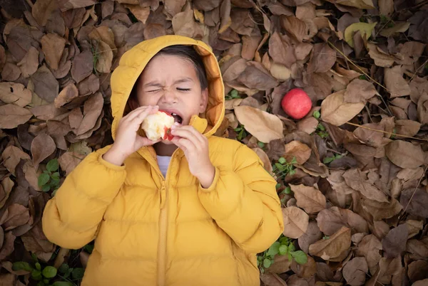 Menino Bonito Casaco Inverno Deitado Folhas Secas Comer Maçãs Deliciosamente — Fotografia de Stock