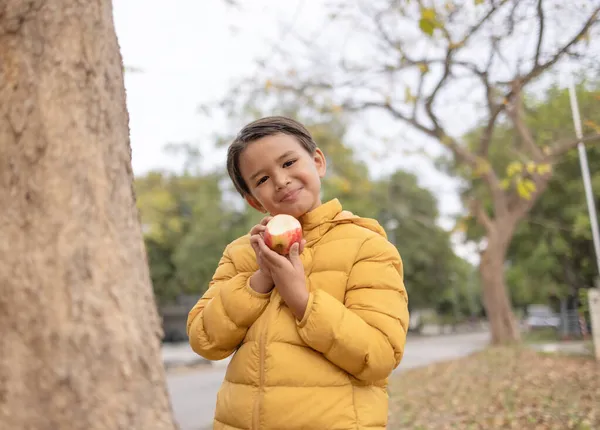 Ein Süßer Junge Lächelt Wintermantel Und Zeigt Gegessen Apfel Auf — Stockfoto