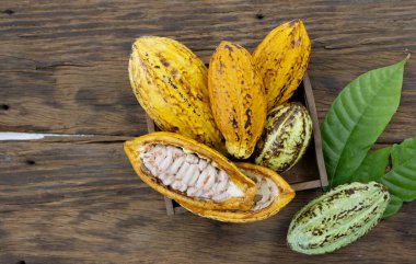 Kakao meyvesi, Tayland 'da bulunan tropikal egzotik meyve çiftlikleridir..