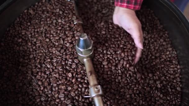 Hand Woman Checking Temperature Roasting Batch High Quality Coffee Beans — Vídeo de Stock