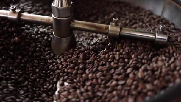 Process Roasting Batch High Quality Single Origin Coffee Beans Large — стоковое видео