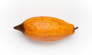 Beyaz arka planda taze kakao olgunlaşmış.