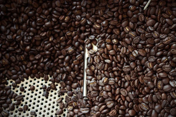 Process Roasting Batch High Quality Single Origin Coffee Beans Large — Stockfoto