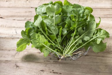 Ahşap zemin üzerinde taze Arugula yaprağı. Roket veya roket (Arugula), baharatlı ve acı bir tadı olan ve keskin bir kokusu olan yeşil yapraklı bir sebzedir..
