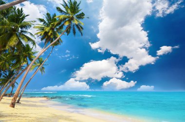 güzel bir plaj Güney sri Lanka