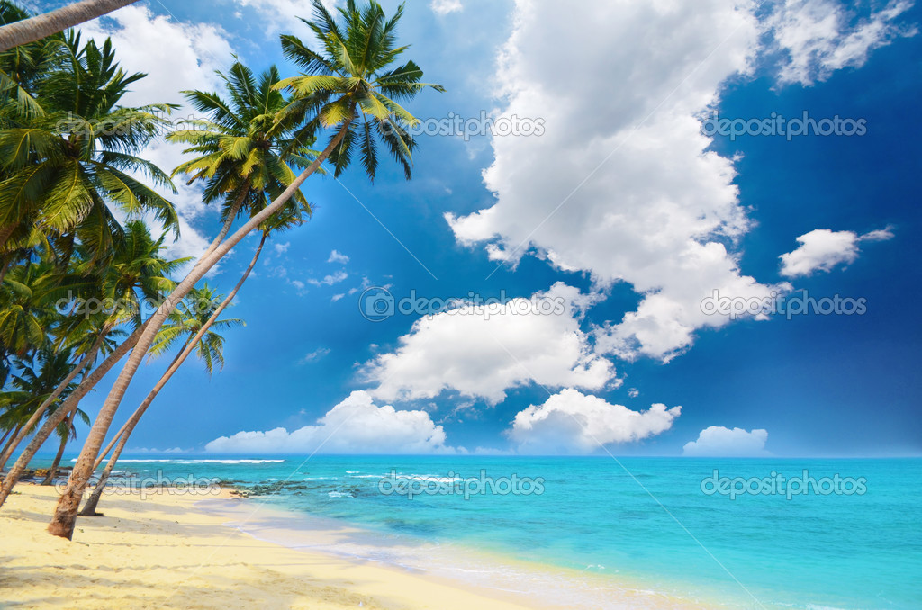 Belle Plage Dans Le Sud Du Sri Lanka Photographie Erandalx