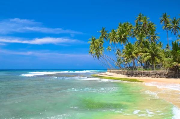 Côté plage Sri Lanka — Photo