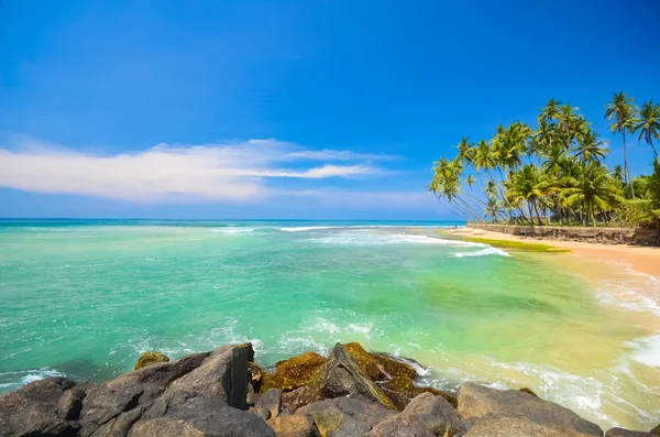 Lado playa Sri Lanka —  Fotos de Stock