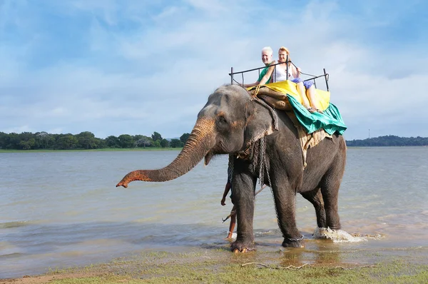 Turister på en elefant tur tur på sjön kandalama — Stockfoto