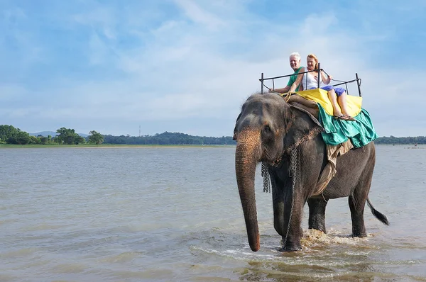 Tourists on an elephant ride tour the on lake Kandalama — Stock Photo, Image