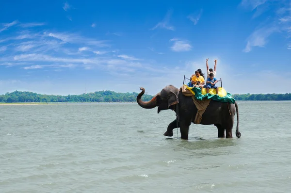 Tourists on an elephant ride tour the on lake Kandalama — Stock Photo, Image