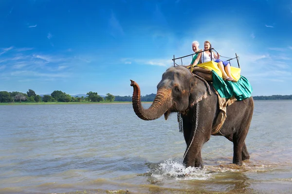 游客骑着大象游上湖坎达拉马 图库图片