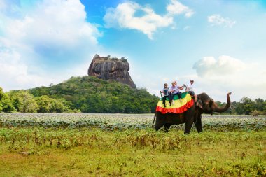 Tur turistlere bir fil binmek