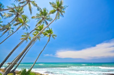 Beach side Sri Lanka
