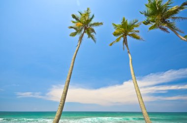 Beach side Sri Lanka
