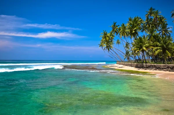 Strandsiden Sri Lanka – stockfoto