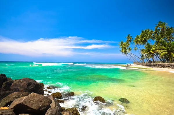 Pláž strany Srí lanka — Stock fotografie