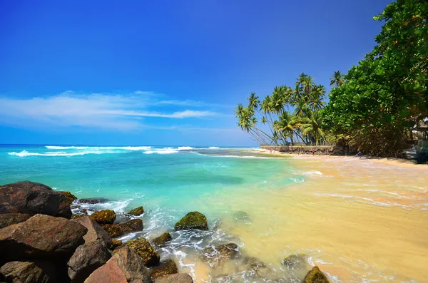 Plaży stronie sri lanka — Zdjęcie stockowe