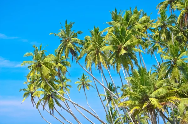 Beach side Sri Lanka — Stock Photo, Image