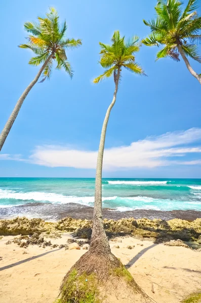 Beach side Sri Lanka — Stock Photo, Image