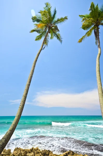 Lado playa Sri Lanka — Foto de Stock