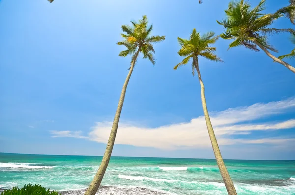 Lado playa Sri Lanka — Foto de Stock