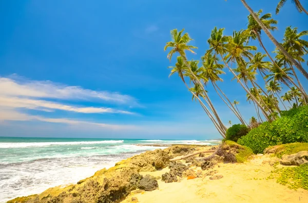 Lado playa Sri Lanka — Foto de Stock