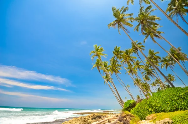 Praia do Sri Lanka — Fotografia de Stock