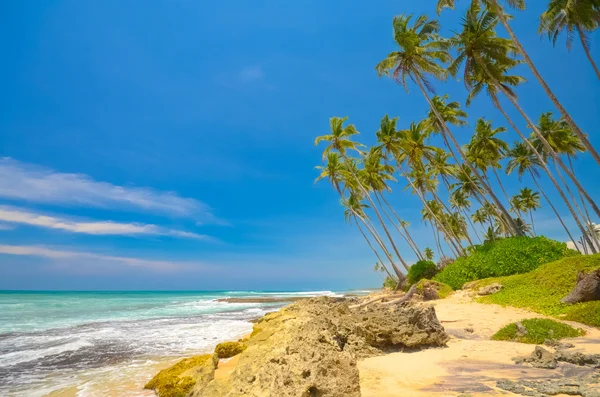 Beach side Sri Lanka
