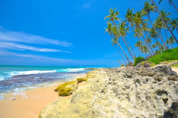 Pláž strany Srí lanka — Stock fotografie