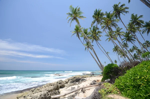 Stranden sida sri lanka — Stockfoto