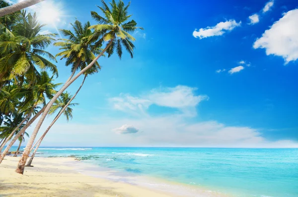 Beach side Sri Lanka — Stock Photo, Image