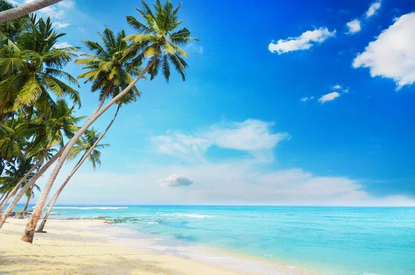 Lado playa Sri Lanka — Foto de Stock